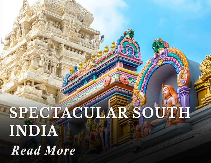 Spectacular South India Tour